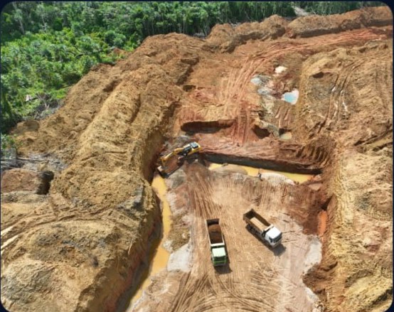 Minerales San Hilarioの金採掘事業 — ペルー、マドレ・デ・ディオス